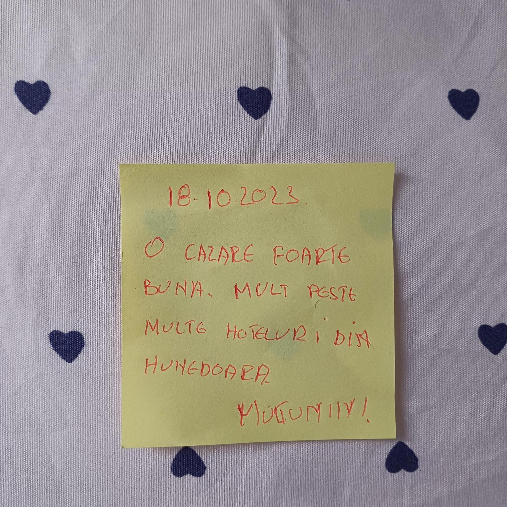Apartament Amigohd² Hunedoara Zewnętrze zdjęcie